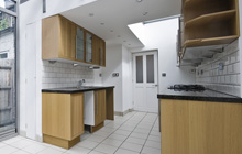 Greytree kitchen extension leads